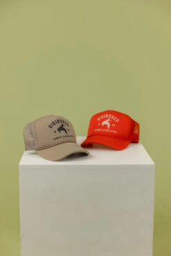 Rodeo Foam Trucker Hat - Stylish Cowgirl Mesh Snapback -ROOLEE FASHION SHOP 028A5925