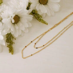 Nora 18k Gold Filled Dainty Chain Necklace 12 Nora 18k Gold Filled Dainty Chain Necklace -ROOLEE FASHION SHOP 0Q7A8362