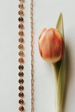 Chloe Gold Filled Coin Necklace - Adjustable 13"-17" Dainty Chain -ROOLEE FASHION SHOP 2F4A7190 1ea28ecc 748f 4a50 84e4 f036782435cf