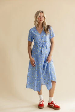 Button Down V-Neck Dress with Adjustable Waist Tie - Zooey
