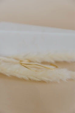 ROOLEE The Zeke Bracelet - 14KT Gold Plated Adjustable Accessory -ROOLEE FASHION SHOP 7W4A1214