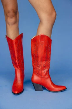 Izabella Western Cowboy Boots with Contrasted Embroidery -ROOLEE FASHION SHOP 7W4A2535