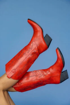 Izabella Western Cowboy Boots with Contrasted Embroidery -ROOLEE FASHION SHOP 7W4A2555