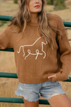 Rustic Reins Cozy Sweater -ROOLEE FASHION SHOP 7W4A5589
