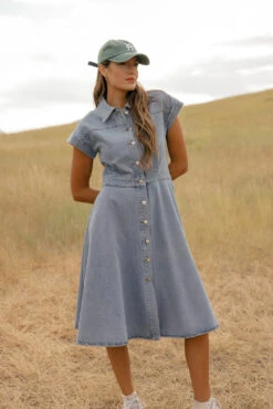 Structured A-Line Denim Button-Down Dress with Collar