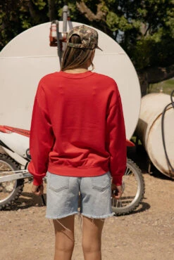 USA Patriotic Graphic Pullover - America The Beautiful Terry Lined Sweatshirt 12 USA Patriotic Graphic Pullover - America The Beautiful Terry Lined Sweatshirt -ROOLEE FASHION SHOP 7W4A6389