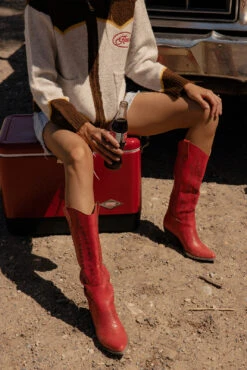 Izabella Western Cowboy Boots with Contrasted Embroidery