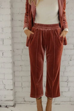 SALT Westgate Velvet Suit Pants - Pink Straight-Leg Trousers