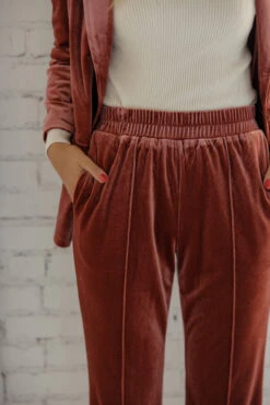 SALT Westgate Velvet Suit Pants - Pink Straight-Leg Trousers -ROOLEE FASHION SHOP 7W4A8668 58ecf7fe 1831 4d3e bb98 0b7d1b696931