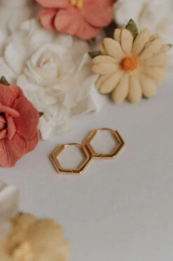 Hypoallergenic Hexagon Huggie Earrings in Gold and Silver 10 Hypoallergenic Hexagon Huggie Earrings in Gold and Silver -ROOLEE FASHION SHOP DSC 2325f 26e0055e aa3e 41af 9e4c 911cce032ae3