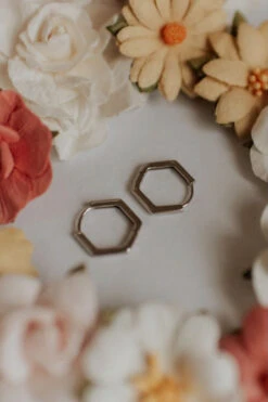 Hypoallergenic Hexagon Huggie Earrings in Gold and Silver 11 Hypoallergenic Hexagon Huggie Earrings in Gold and Silver -ROOLEE FASHION SHOP DSC 2342 d1ced2f1 7c24 415e a898 58d2c99a6338