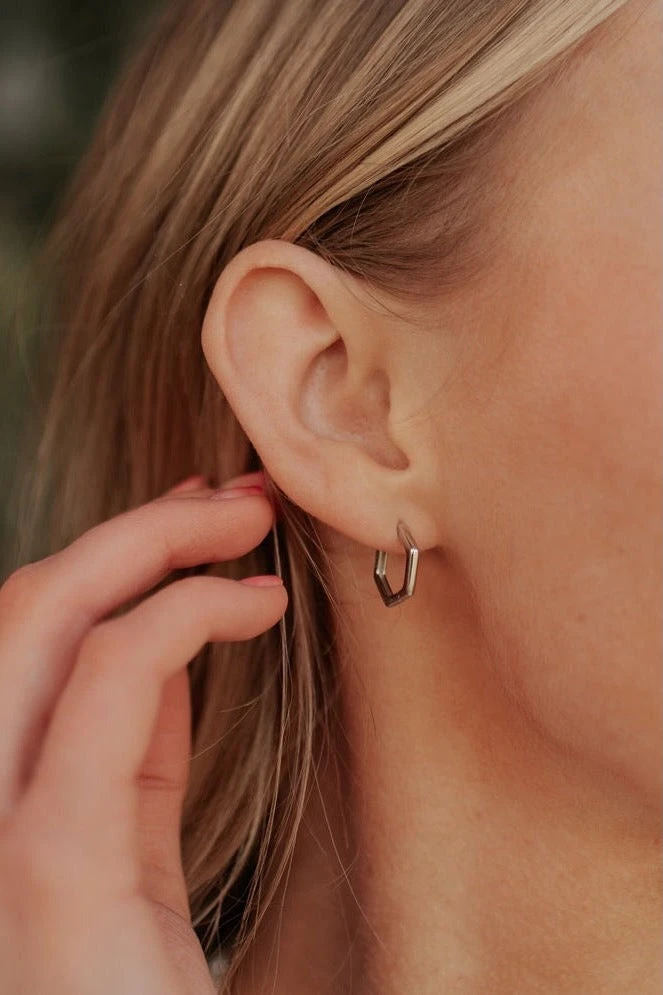Hypoallergenic Hexagon Huggie Earrings in Gold and Silver 3 Hypoallergenic Hexagon Huggie Earrings in Gold and Silver