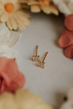 Hypoallergenic Cubic Zirconia Stud Earrings - Margot Collection -ROOLEE FASHION SHOP DSC 2465f ecccb491 21fc 46c1 bdab f08233e73ed5