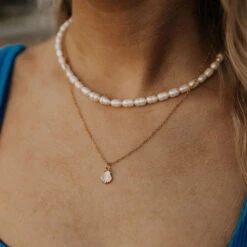 14k Gold Filled Sea Shell Necklace - Tarnish Resistant Beach Jewelry 13 14k Gold Filled Sea Shell Necklace - Tarnish Resistant Beach Jewelry -ROOLEE FASHION SHOP IMG 0174 c2ce8fba 9988 4ff4 b801 59fbe496cc1b