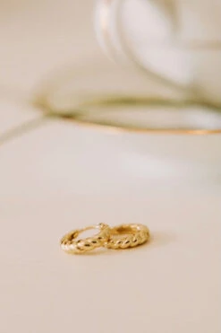 Gold Vermeil Twist Hoop Earrings - Hypoallergenic Brooklyn Hoops 12 Gold Vermeil Twist Hoop Earrings - Hypoallergenic Brooklyn Hoops -ROOLEE FASHION SHOP IMG 1411 30703b95 f7b5 4cd3 8dce cfaeb5093006