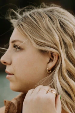 Gold Vermeil Twist Hoop Earrings - Hypoallergenic Brooklyn Hoops 14 Gold Vermeil Twist Hoop Earrings - Hypoallergenic Brooklyn Hoops -ROOLEE FASHION SHOP IMG 3565 b9962210 1c85 4a9e 80e7 3cbbe6b433ef