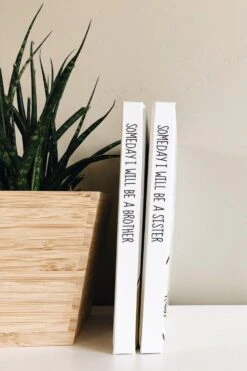 Big Sister Book - Someday I Will Be A Sister Padded Board Book for Kids -ROOLEE FASHION SHOP IMG 6513 1f1f0f72 e8ad 4218 b45a 16ffaeb8bd5c