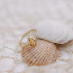 18k Gold Fill Maui Cowrie Shell Ring - Beach-Inspired Statement Jewelry