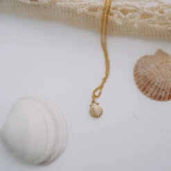 14k Gold Filled Sea Shell Necklace - Tarnish Resistant Beach Jewelry