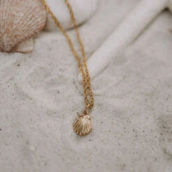 14k Gold Filled Sea Shell Necklace - Tarnish Resistant Beach Jewelry 12 14k Gold Filled Sea Shell Necklace - Tarnish Resistant Beach Jewelry -ROOLEE FASHION SHOP IMG 7425