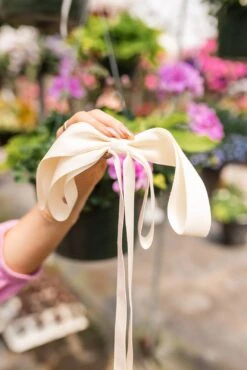 Addison Long Ribbon Bow Barrette in Cream -ROOLEE FASHION SHOP addison long bow barrette clips 509037