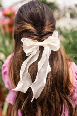 Double Bow Hair Barrette - Remi Sheer Embroidered Hair Clip